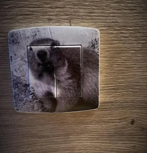 Tt Confort Au Coeur Des Montagnes Vue Sur Les Montagnes Ii Wifi